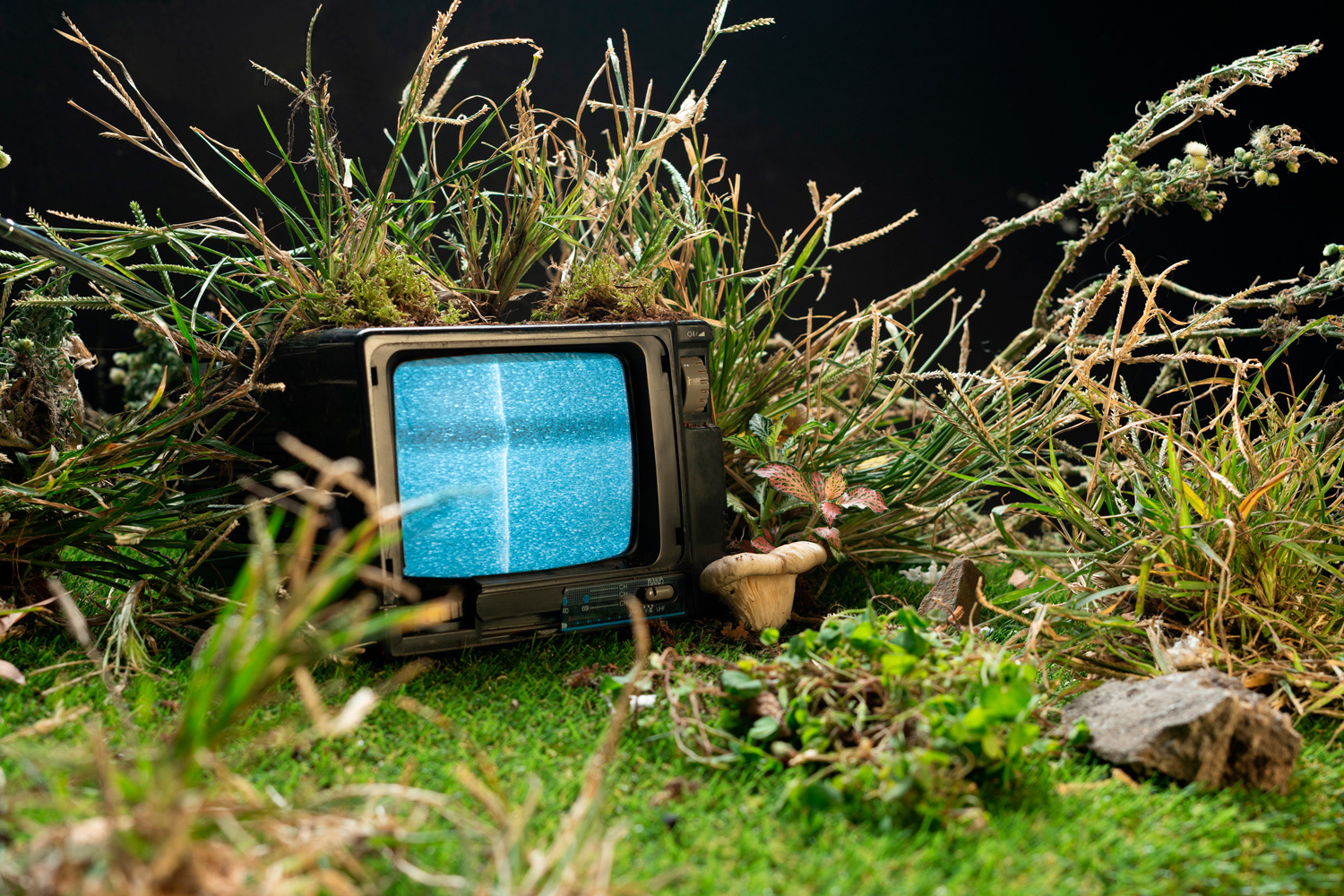 An old analog television displaying static, half-buried in tall grass and moss beside a small mushroom